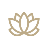 wellness-2